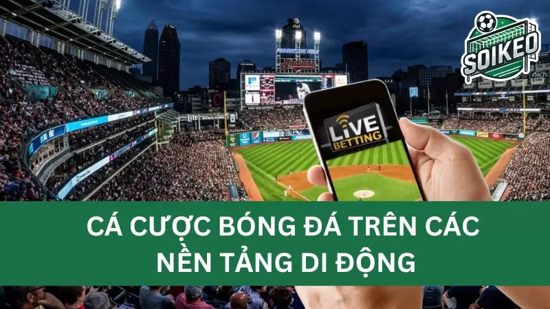 an toàn và bảo mật